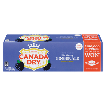Canada Dry USA Blackberry Ginger Ale (12 x 0,355 Liter cans)