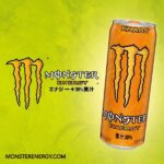 Monster Energy Khaos (24 x 0,355 Liter cans JP)
